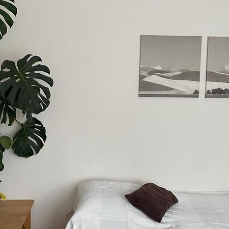 Fewo Oberhausen-Alstaden 오버하우젠 외부 사진